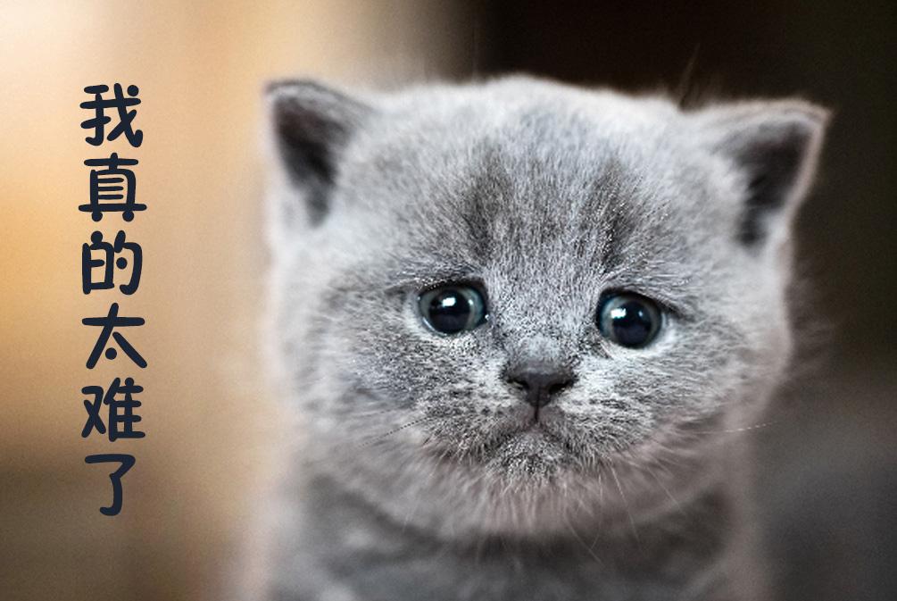 v2-1a2d8ec8dd15a8137a0d9a25f021380e_1440w.jpg?source=172ae18b