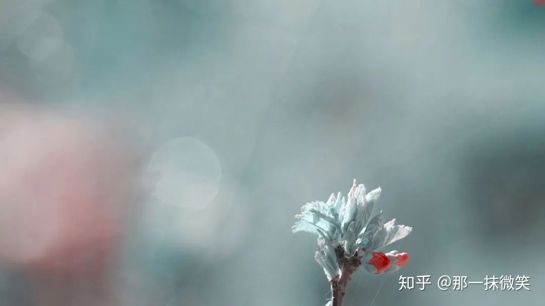 人情世故是怎样慢慢学会的?