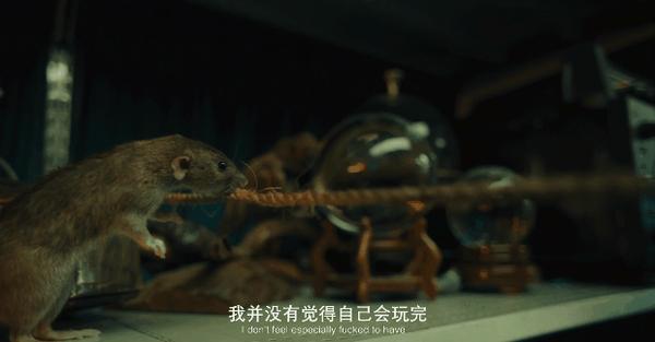温子仁+R级恐怖,《怪猴》尺度超猛