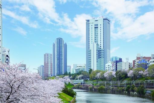 纽澜日本名校介绍gmarch系列 法政大学 知乎 纽澜日本名校介绍gmarch系列 法政大学 知乎