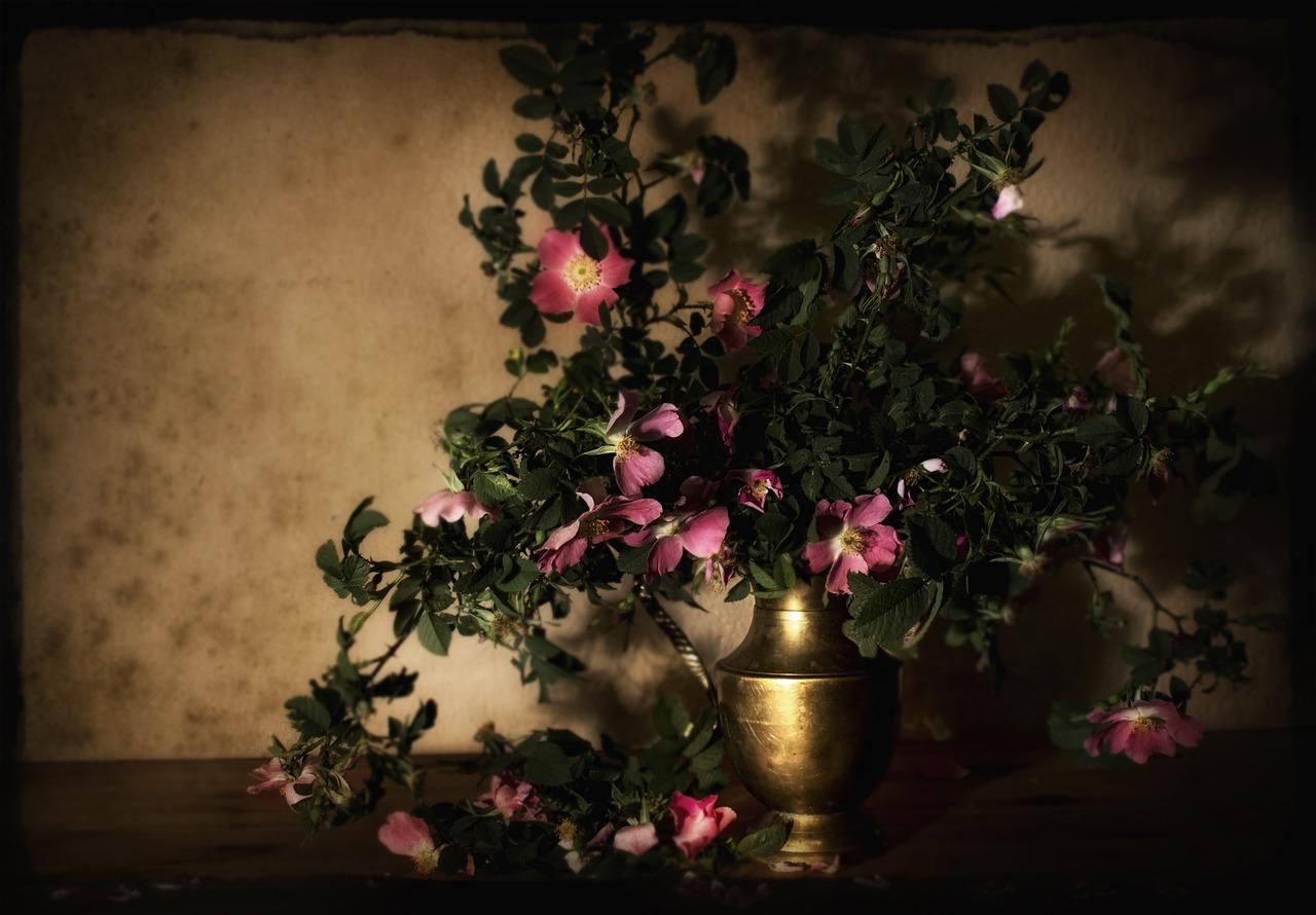 蔷薇花下的快乐时光