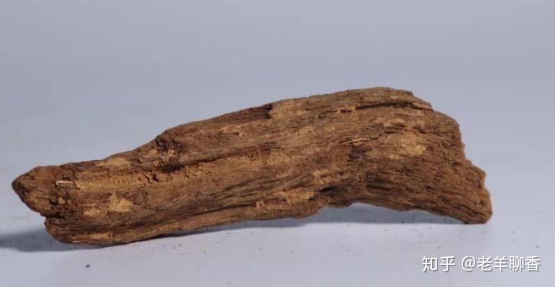 在印尼的伊利安岛也有同样的地理风貌,经过沉香产地在印尼不断的东扩