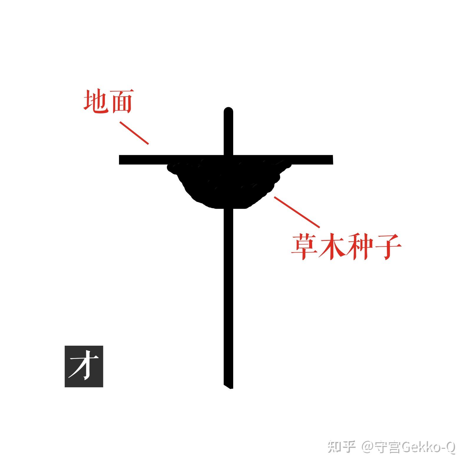 文字起源:木、林、森、树 - 知乎