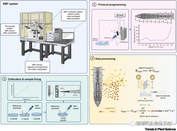 Trends In Plant Science 