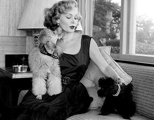 9次婚姻,好莱坞结婚女王教坏女人的事儿