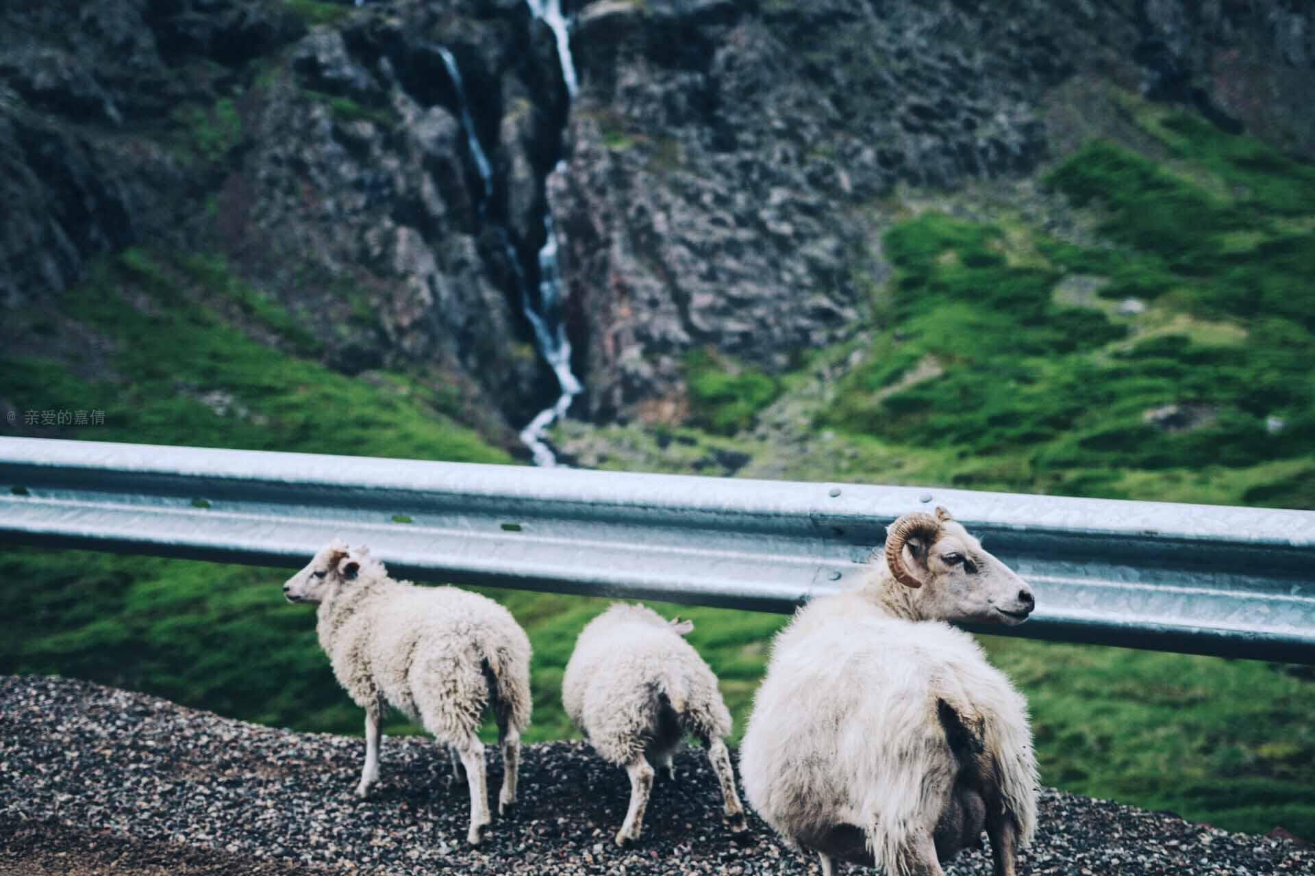 在冰岛生活是怎样的体验? - 知乎
