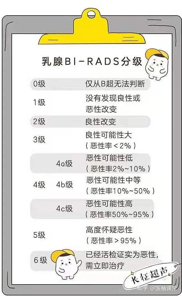 birads3类是什么意思图片