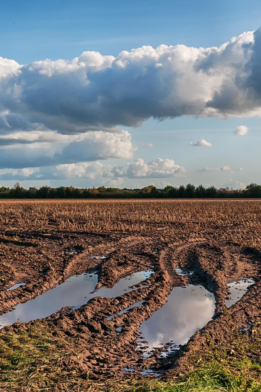 3. 耕地增减平衡