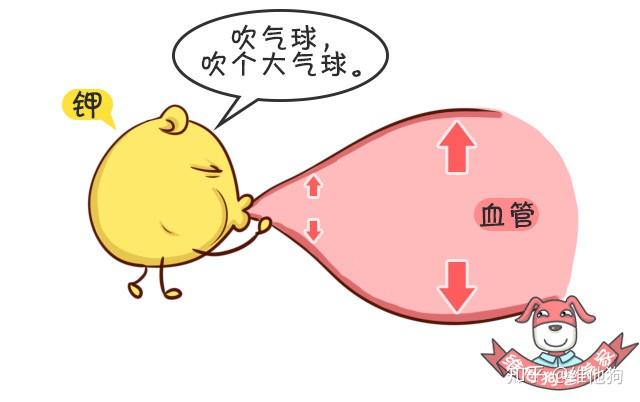 高血压认知1 高血压认知1