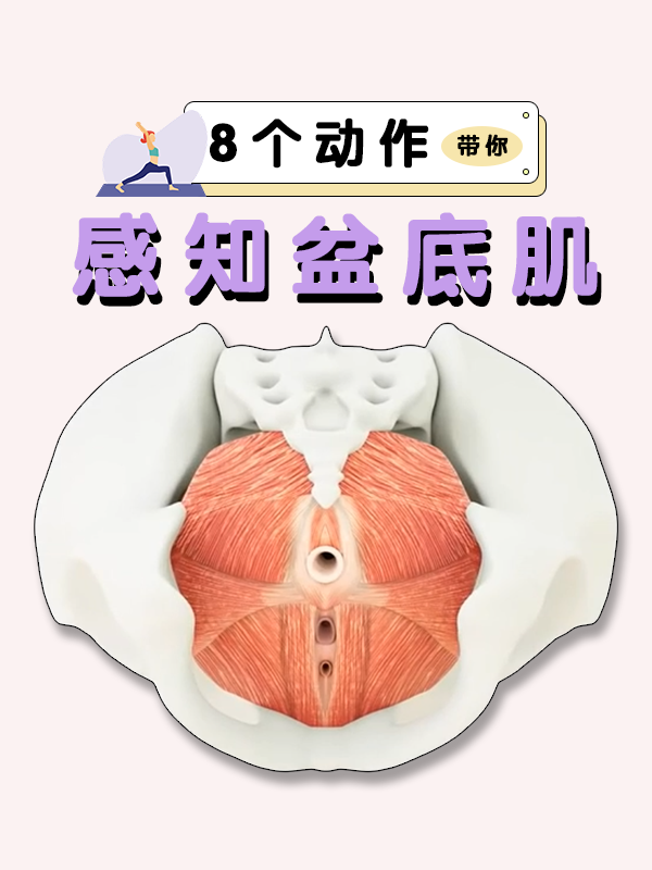 感知盆底肌8个动作教会你60
