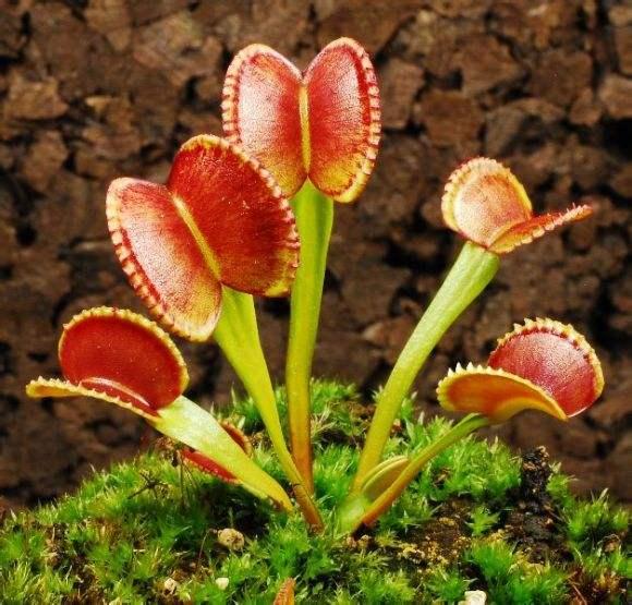 v2-1aa9e3b3396e80040d4abf56061da61c_1440w.jpg?source=172ae18b