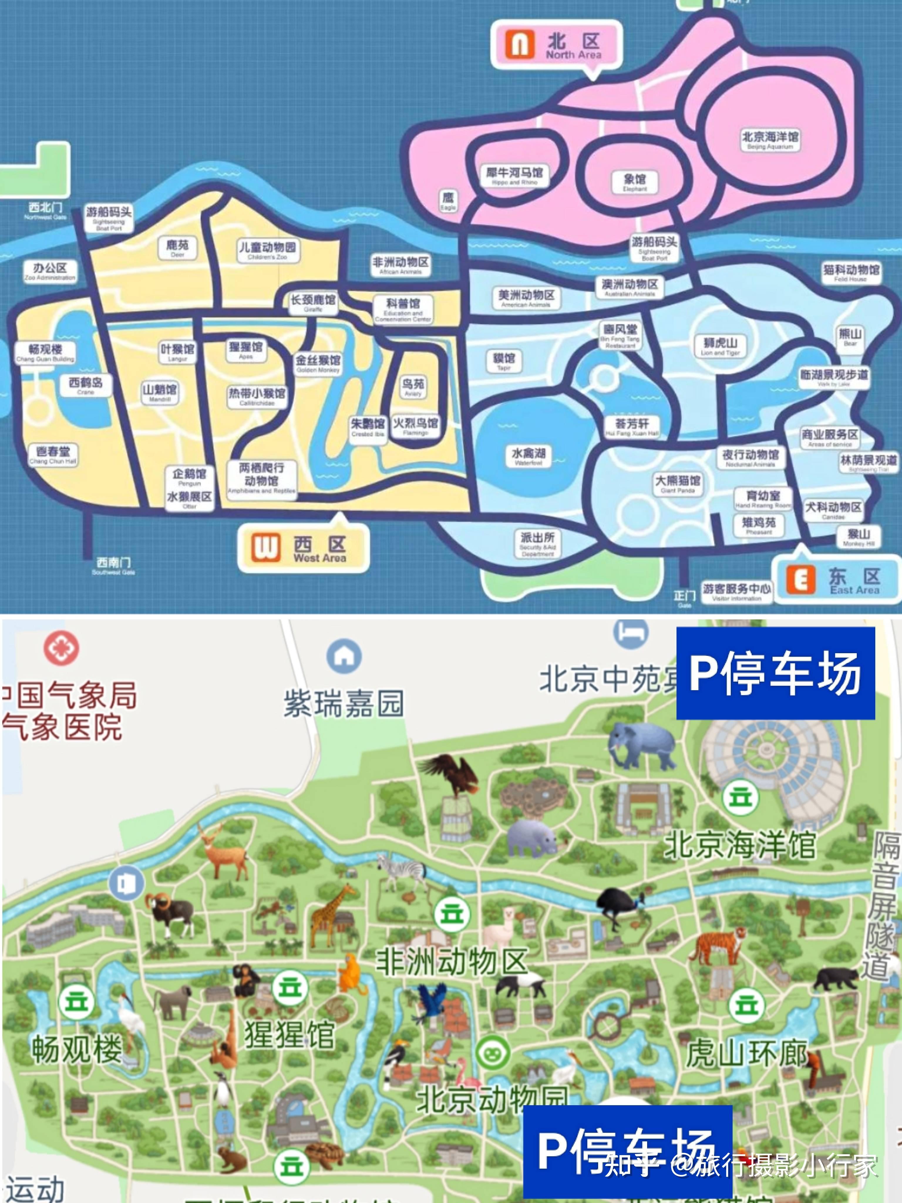 北京动物园路线示意图图片