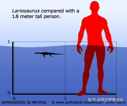 番外丨孽子幻龙目简谈
