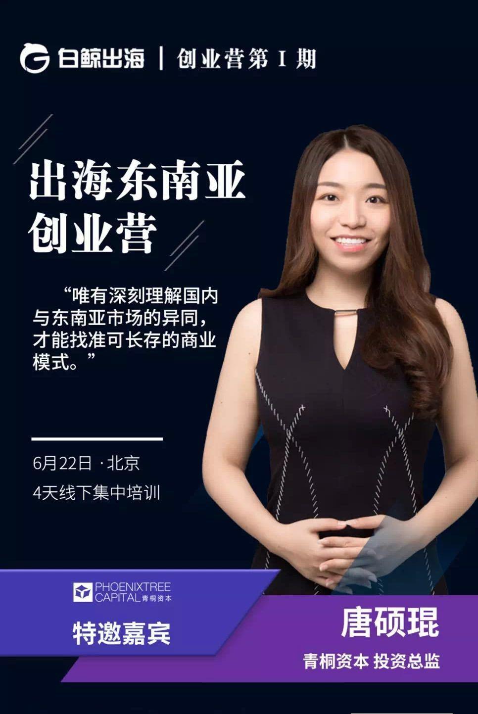 青桐资本fa视角看出海东南亚