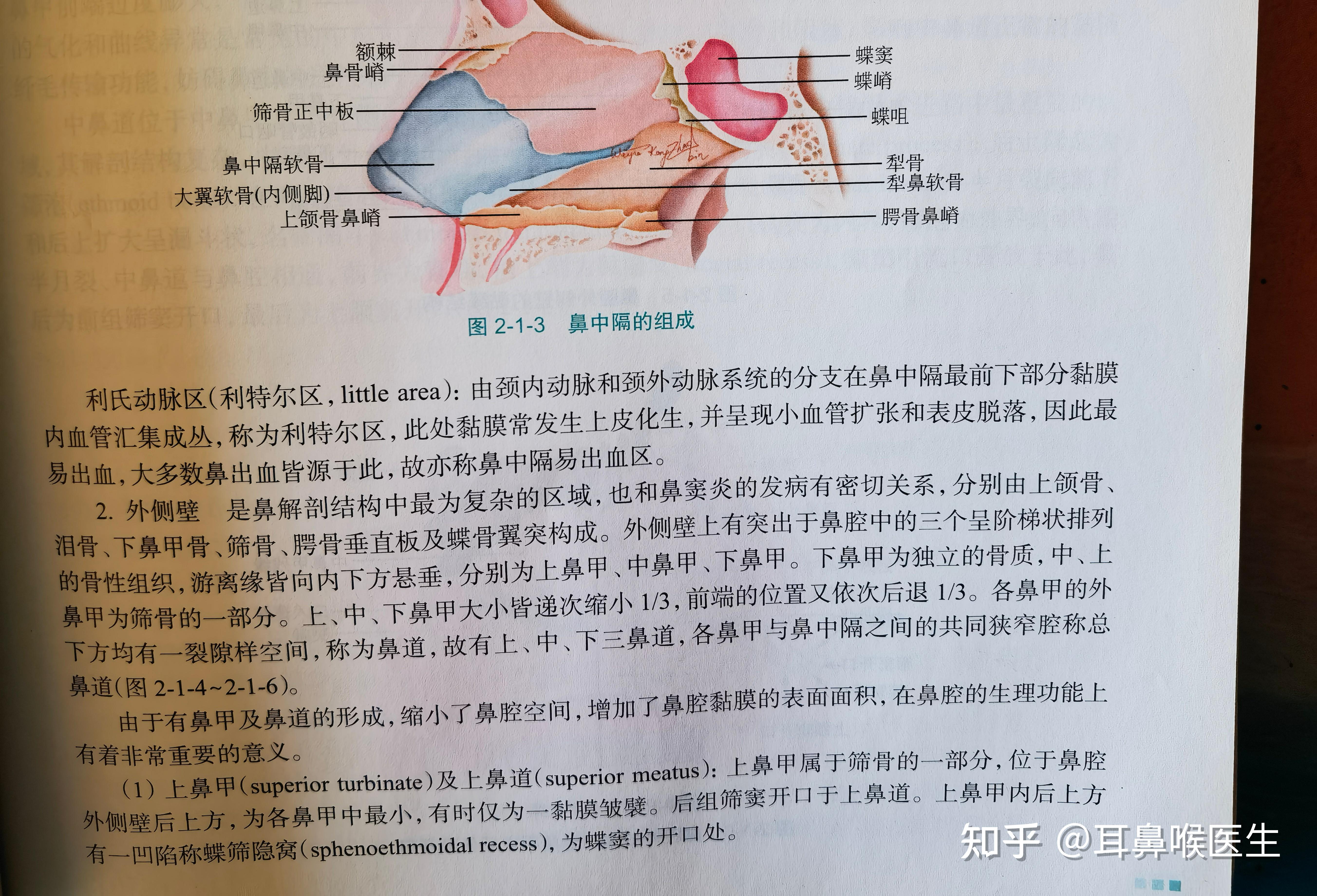 黎氏区是哪个位置?