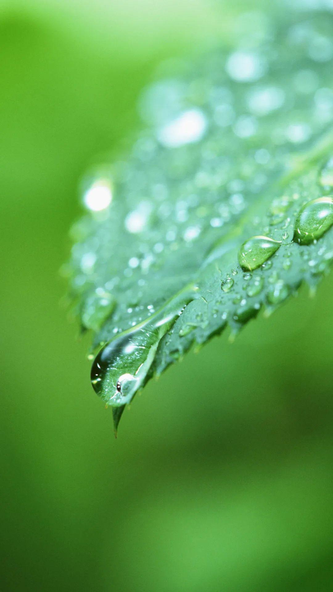 有哪些好看的全面屏手机壁纸或微信聊天背景图片