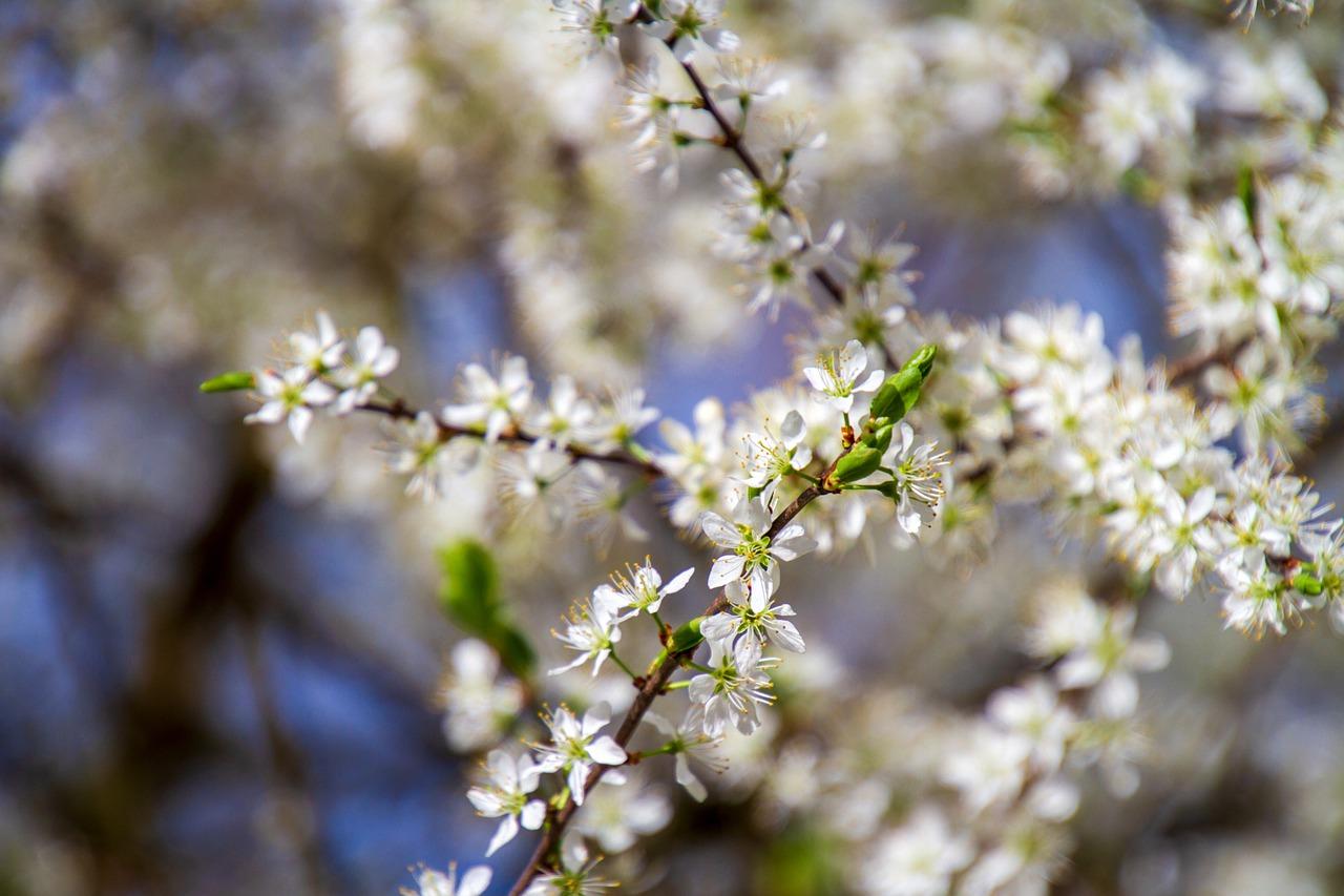 3. 套定额技巧分享