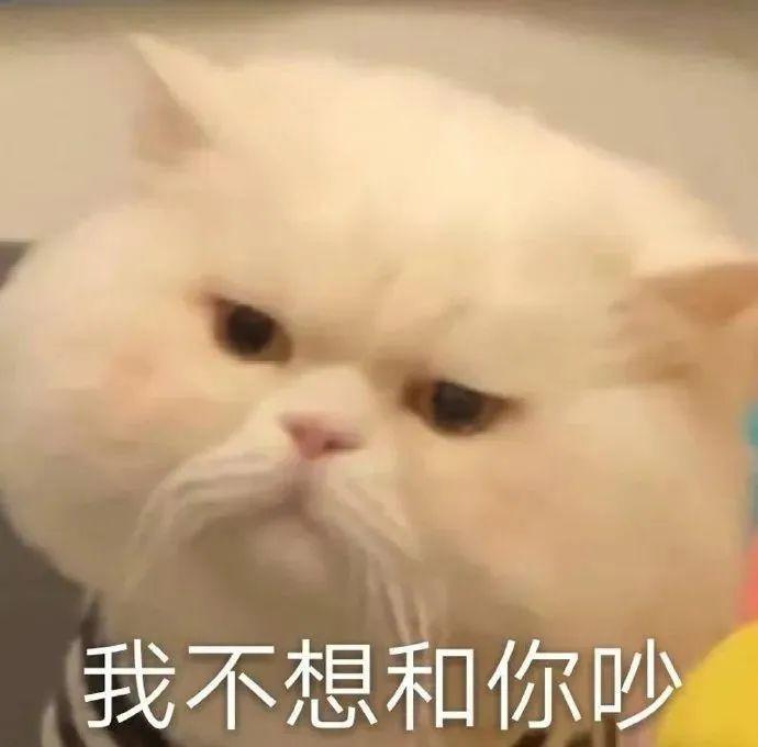 120张万能的表情包推荐-万能表情图片大全