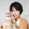 喜欢橙子的猫