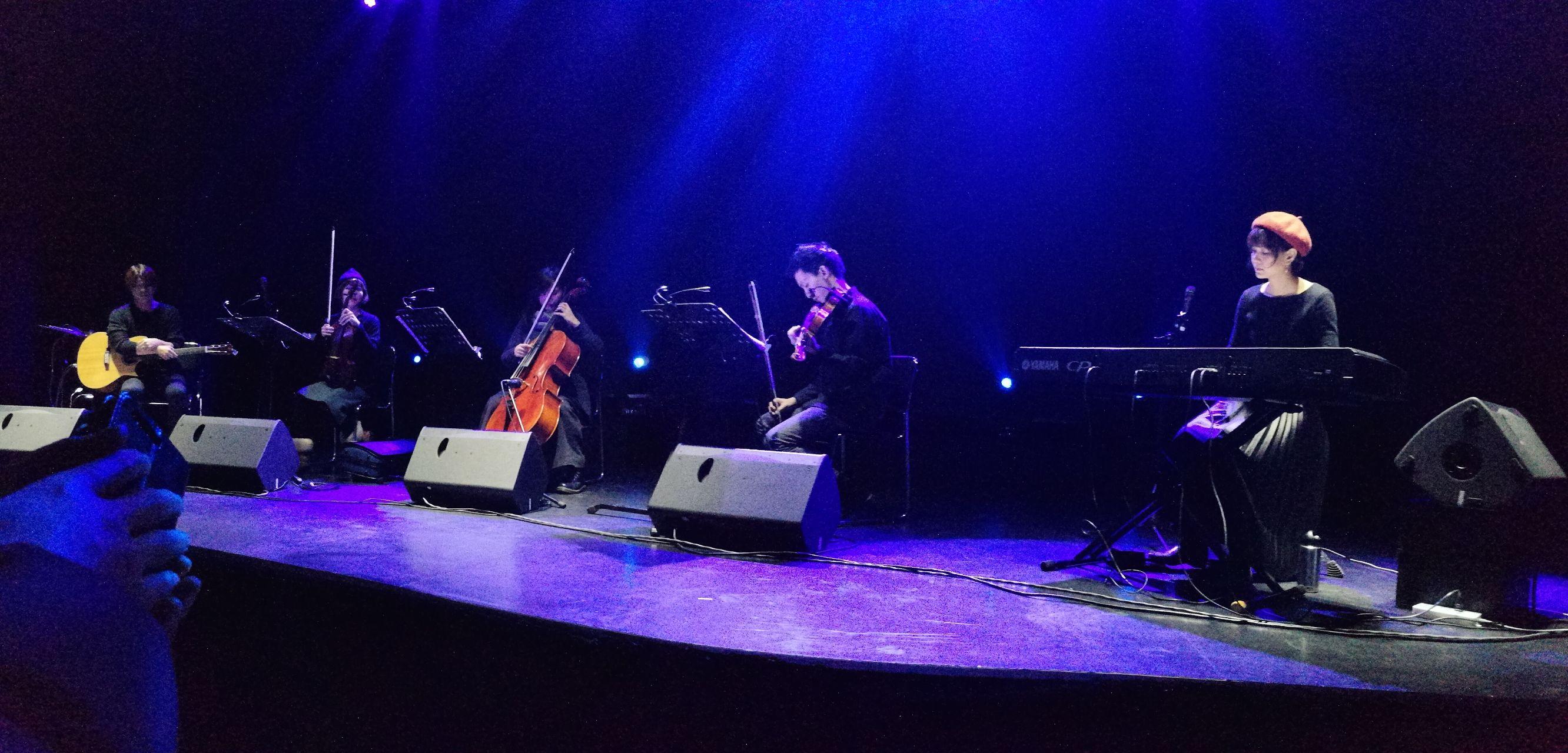 如何评价cicada这支乐队