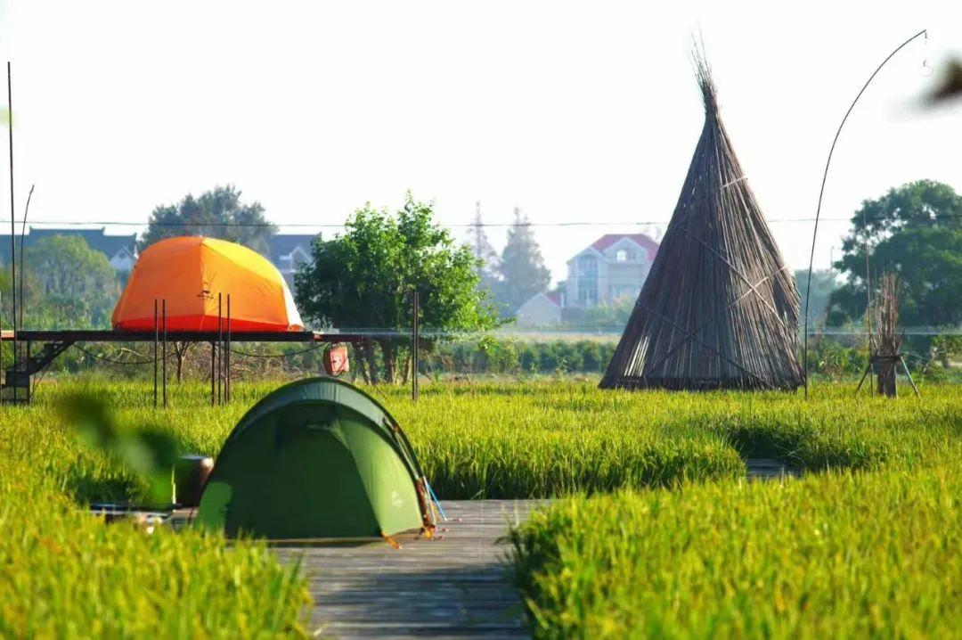 稻田里的帐篷相比之下,入住规则灵活得多.