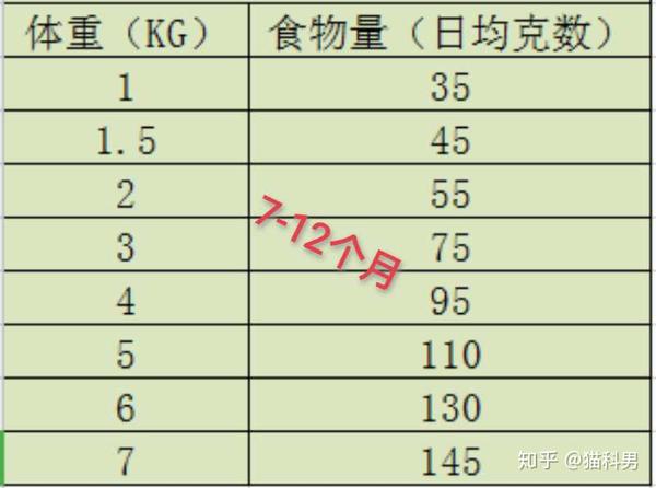 新手必看 不同时期的猫咪 应该喂多少食量 知乎