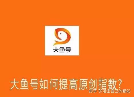 大鱼号怎么运营大鱼号怎么提升到五星作者