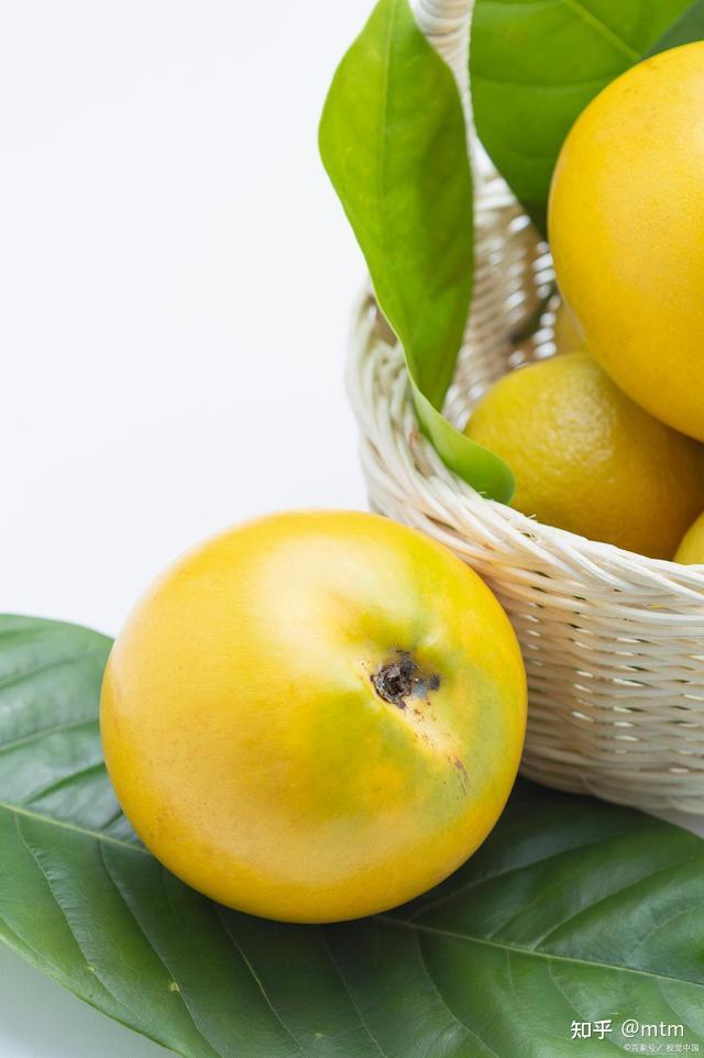 圣诞过后凛冬将至年货水果怎么选保养生活宫延楼分享