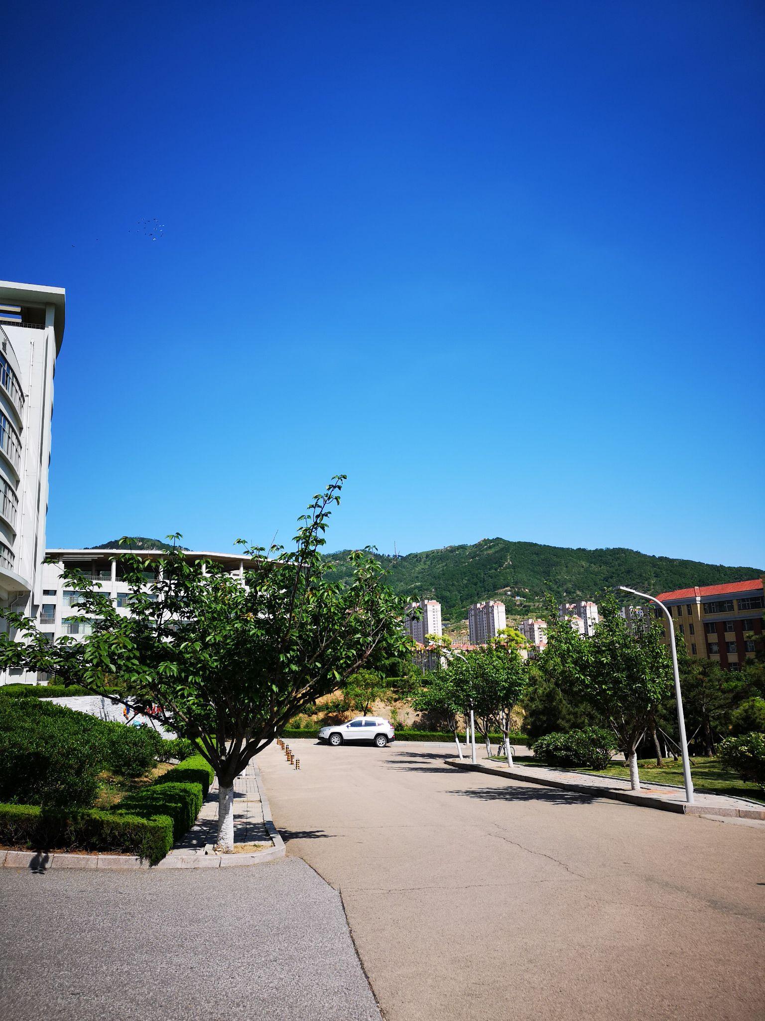 青岛科技大学崂山校区怎么样