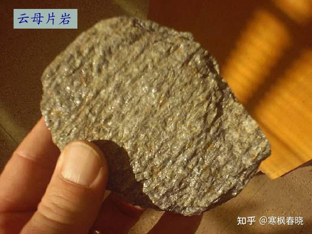 海边捡到一块石头,上面镶嵌一片片的银色亮片,请问是什么,怎么形成的?