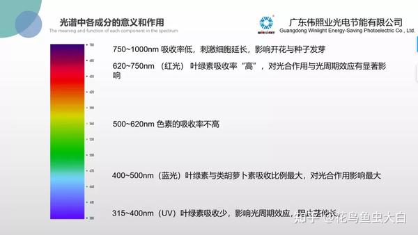 植物光质生物学——LED植物照明理论的基础 - 知乎