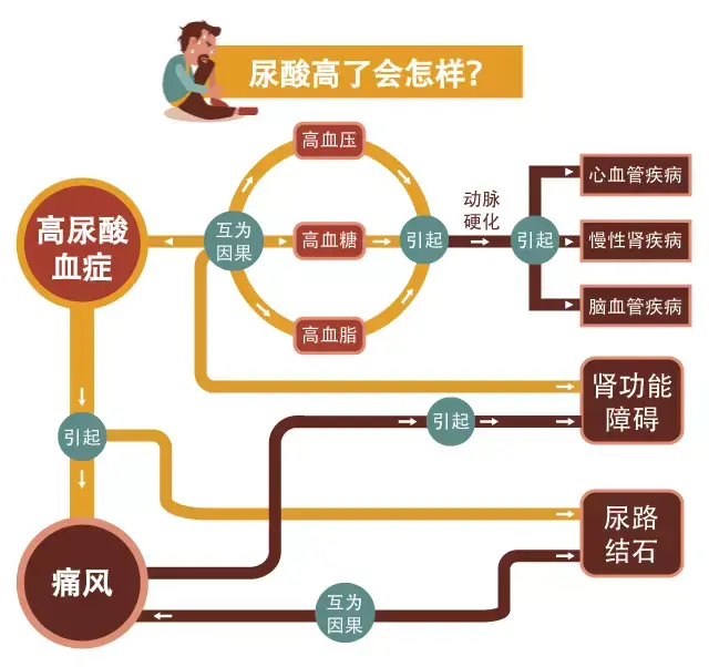 高尿酸有多大危害心里得有数