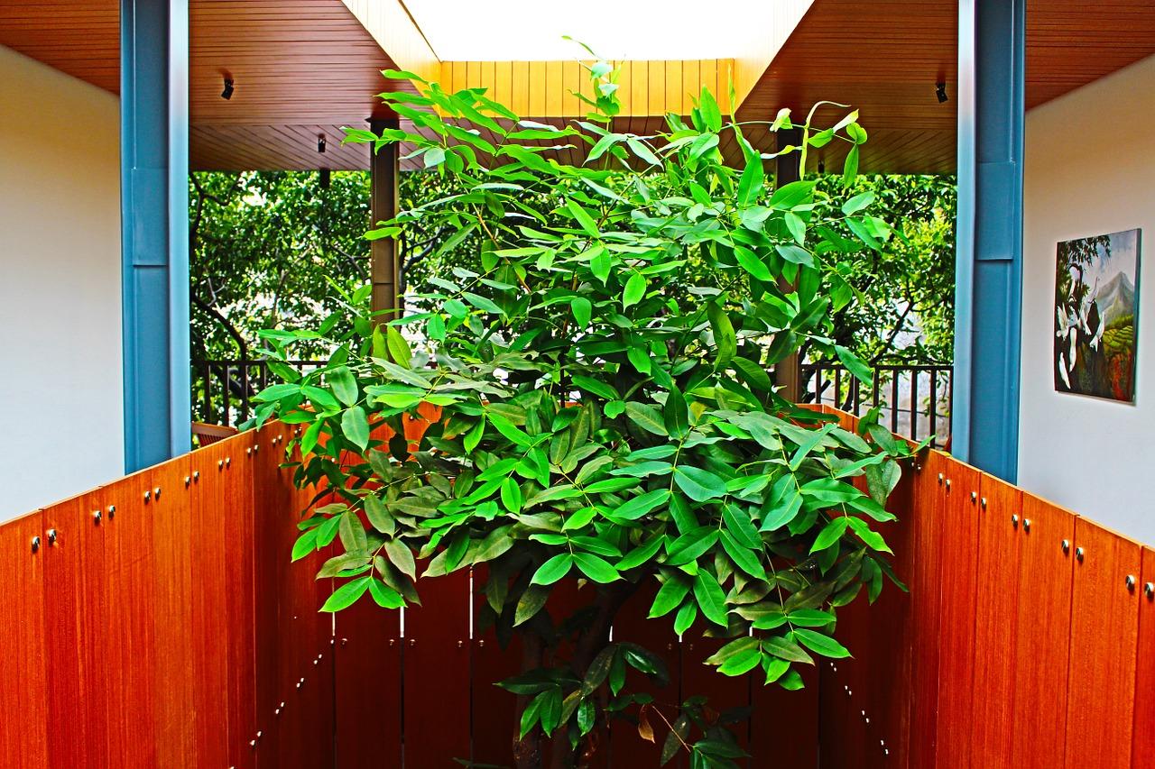 4. 室内灯光控制