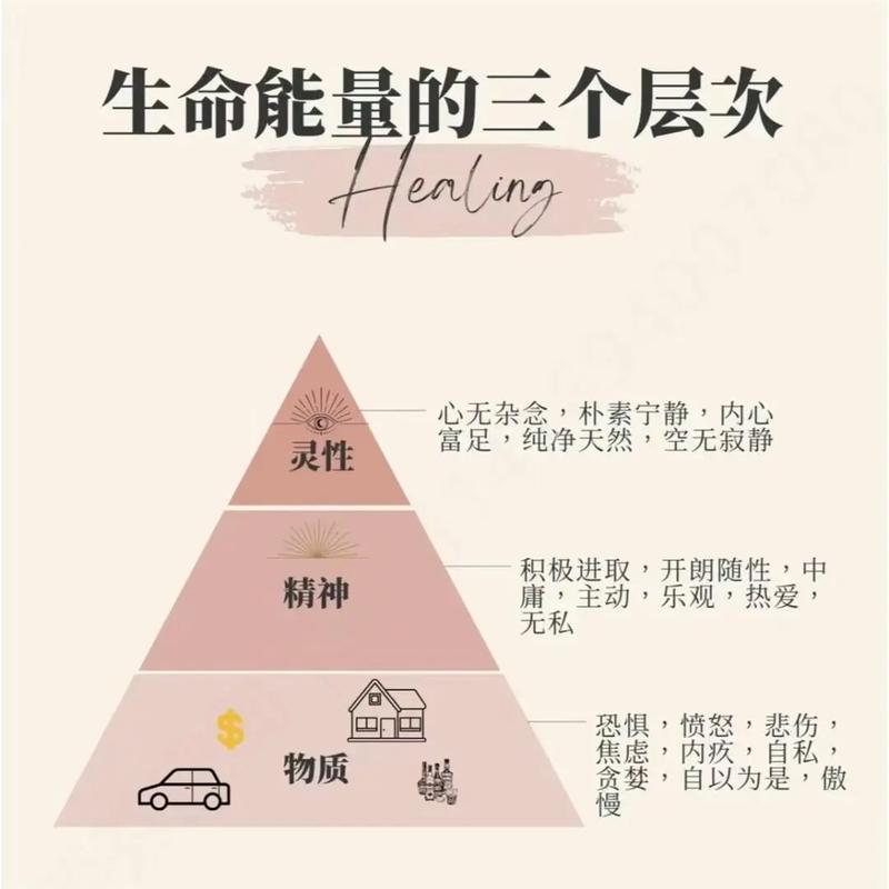 为啥熬夜越熬越精神 知乎 