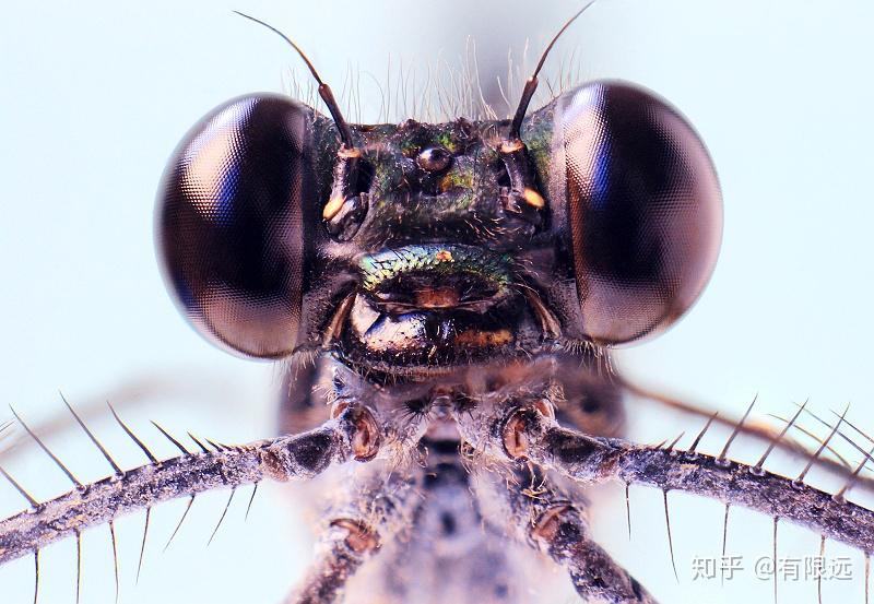 你有哪些拍的满意的照片? - 知乎