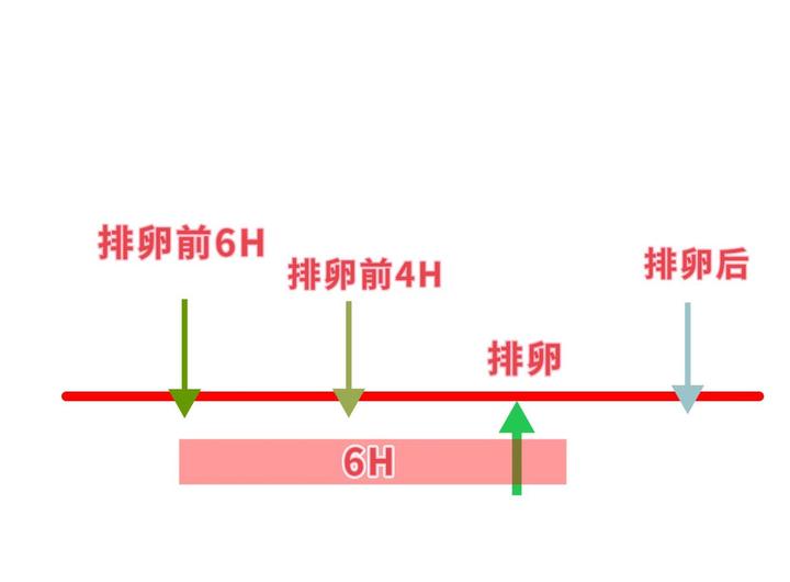 备孕男宝宝一定要知道的！强阳、次强阳、强阳转弱，弱阳跟排卵的关系 - 知乎