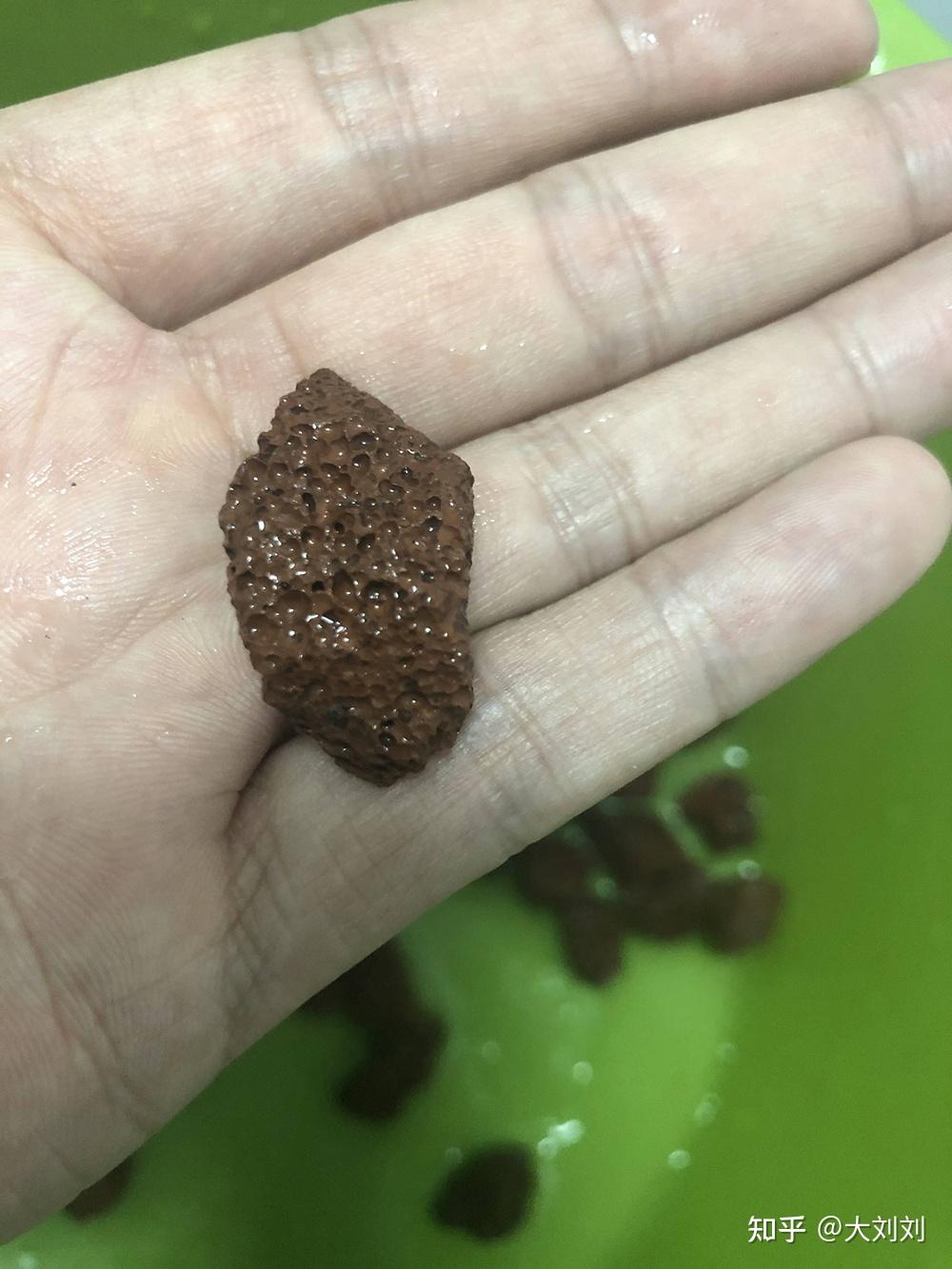 三:咱们再说说几个天然滤材.