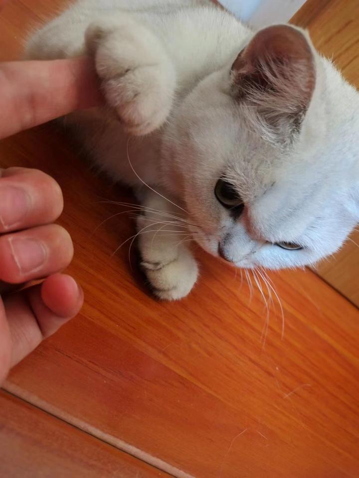 SegNet: A Deep Convolutional Encoder-Decoder Architecture for Image ...