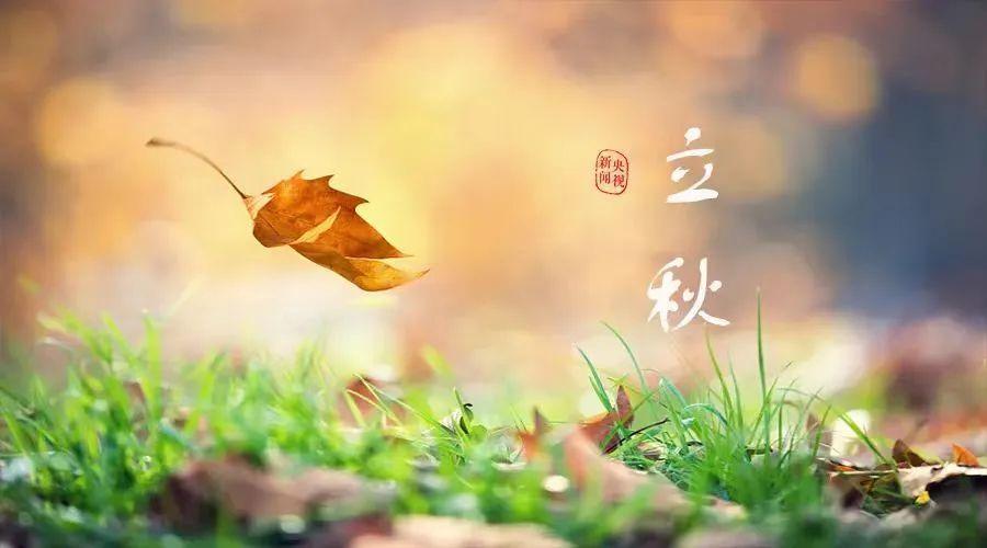 今日立秋 !15首立秋绝美诗词,附译文!(值得收藏) - 知乎