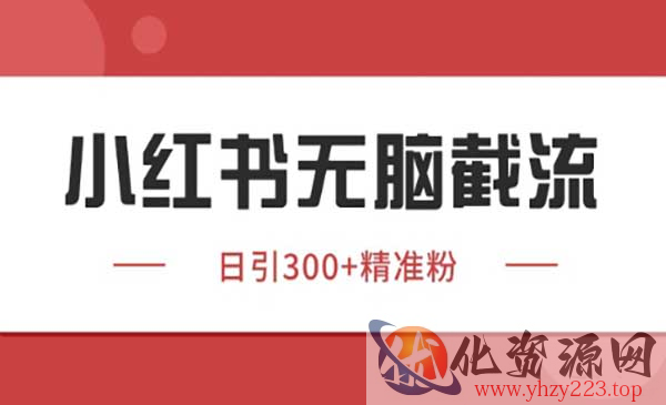 小红书野路子暴力截流_wwz