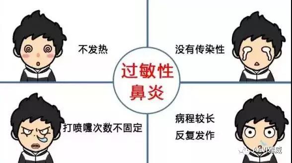 夏天过敏性鼻炎频发如何从源头解决