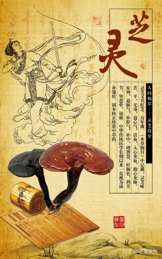 绿之韵纯正破壁灵芝孢子粉为您的健康保驾护航 - 知乎