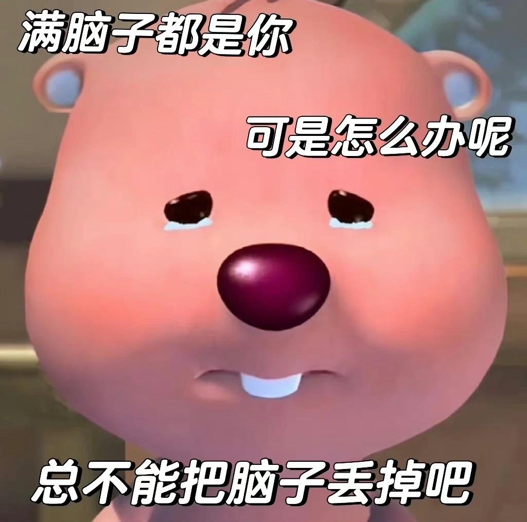 可以给我看看你的小海狸loopy的表情包吗