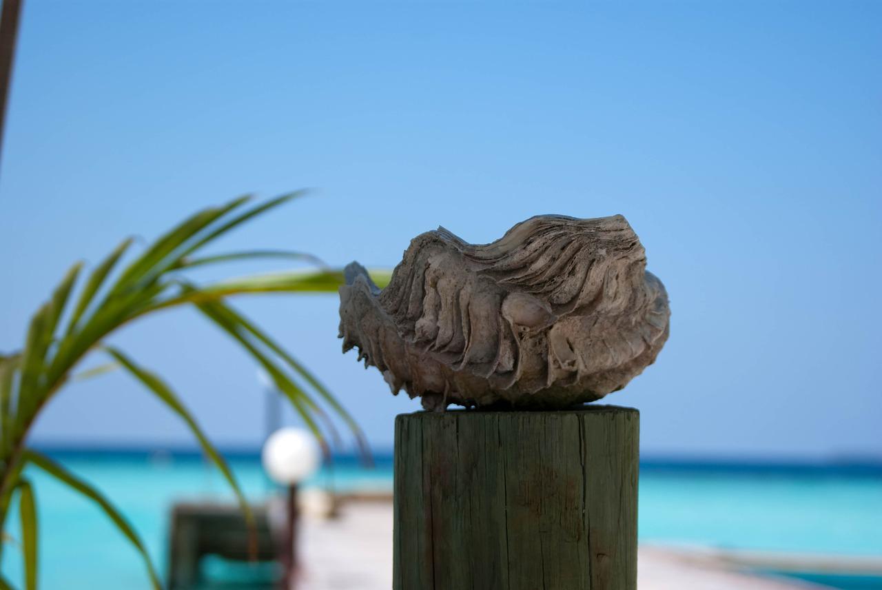 3. 手把件保养法