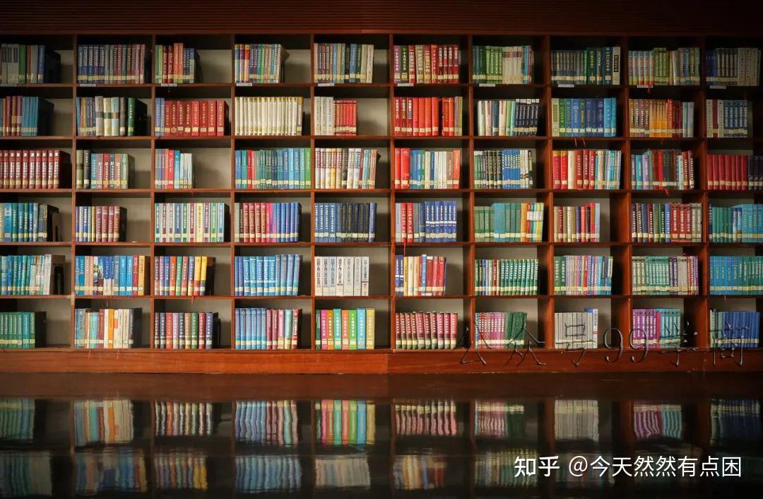 v2-1b5601790aae33f0a7a7d8b5ae78806c_r.jpg