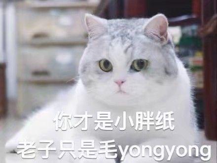 多少斤才是胖子 v2-1b5765bf75f07a881d0ae144d9faceb4_r.jpg