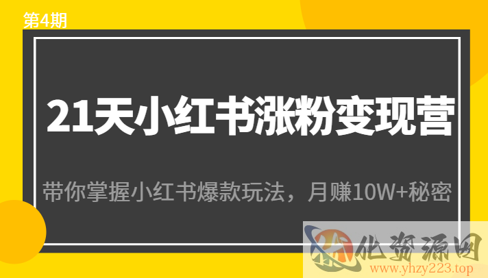 21天小红书涨粉变现营（第4期）：带你掌握小红书爆款玩法，月赚10W+秘密插图