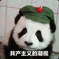 v2-1b5da4d2e47998eea6c90894c10bb544_b.jpg
