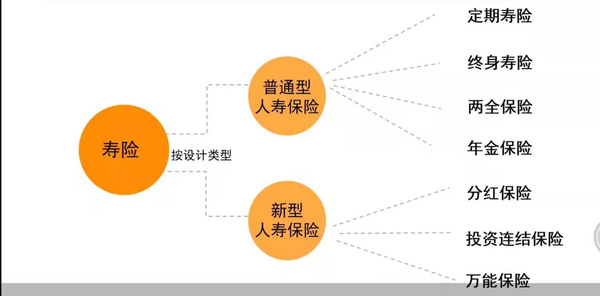 普通型寿险是指什么 万能型寿险是指什么 分红型寿险是指什么