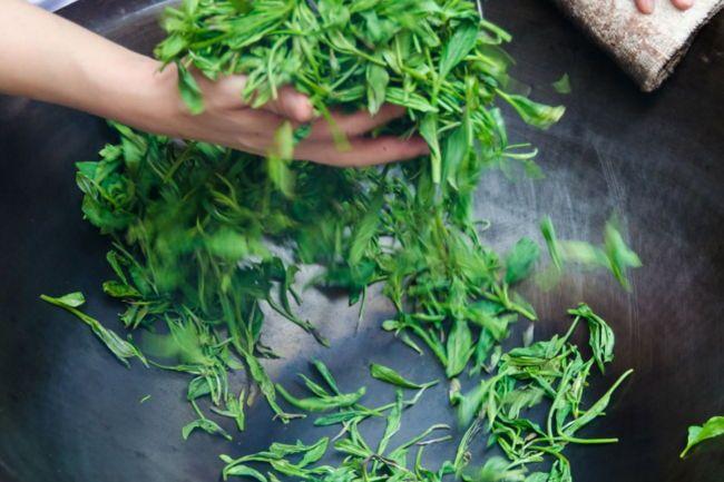 手工炒茶 - 知乎